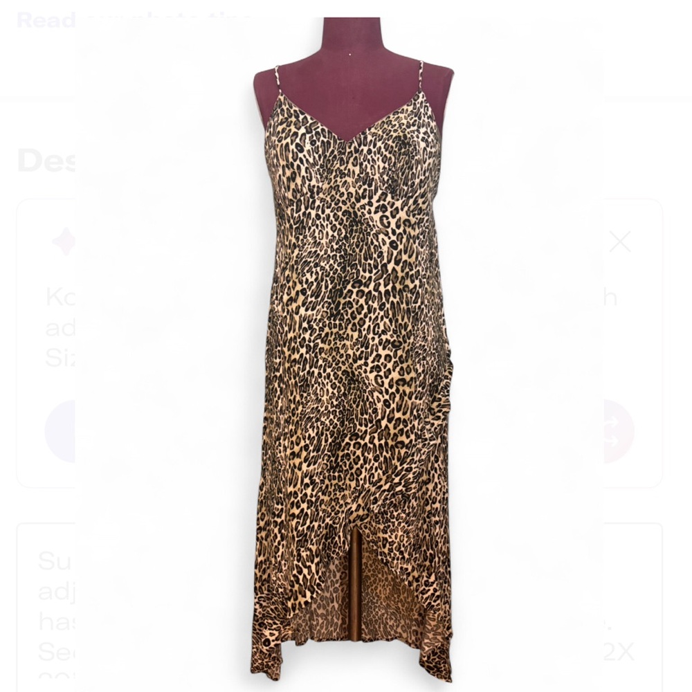 Kori Zebra Print Dress size XL